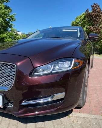 Jaguar XJ cena 48000 przebieg: 231000, rok produkcji 2010 z Radom małe 154